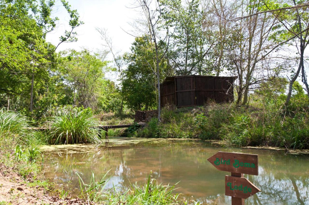 Greenfire Hazyview Lodge מראה חיצוני תמונה